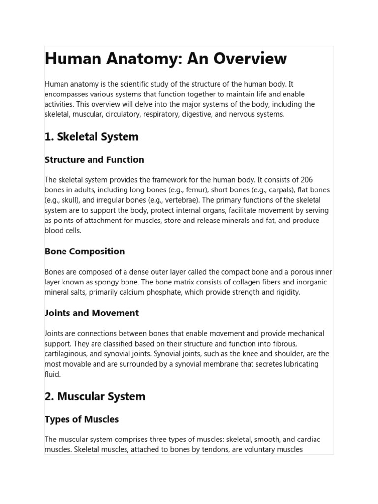 Human Anatomy Overview | PDF | Muscle | Bone