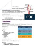 Resumen Mod. II - 20240124 - 135010 - 0000