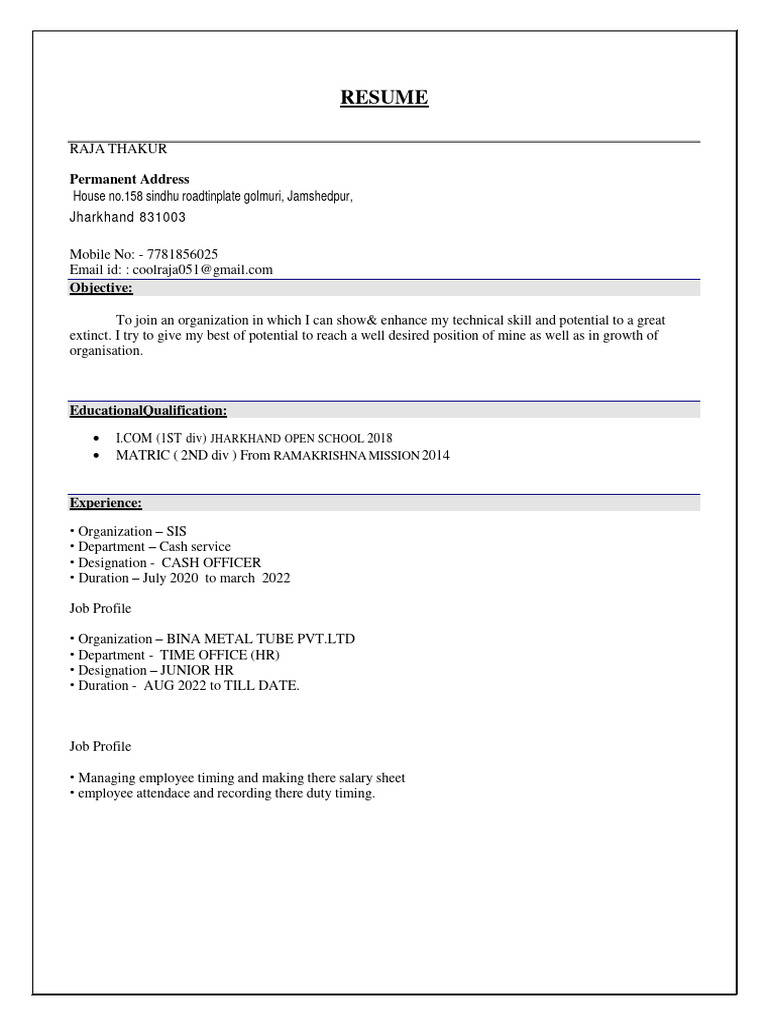 Resume Raja New | PDF