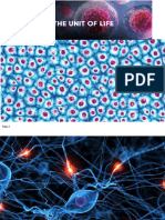Cell Unit of Life Session 1