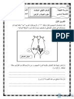 Synthese