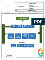 Hs-Sig-Mp-105 Mapa de Procesos V1