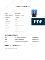 CURRICULUM VITAE