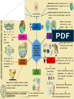 Mapa Mental Sistemas de Organizacion Desde Los Niveles de Complejidad