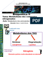 8-Metab Dos Aminoácidos - Odalys Med