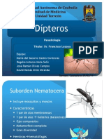 Dípteros