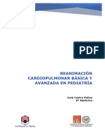 Reanimación Cardiopulmonar Básica y Avanzada en Pediatría