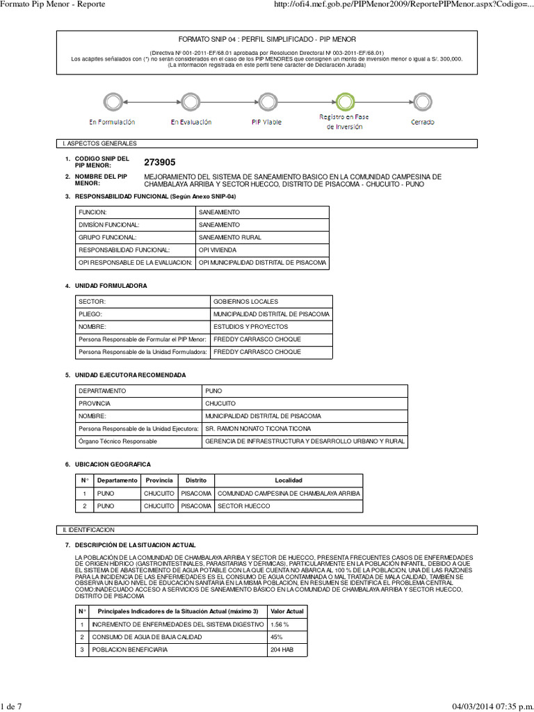 Formato Pip Menor - Reporte | PDF | Agua | Saneamiento