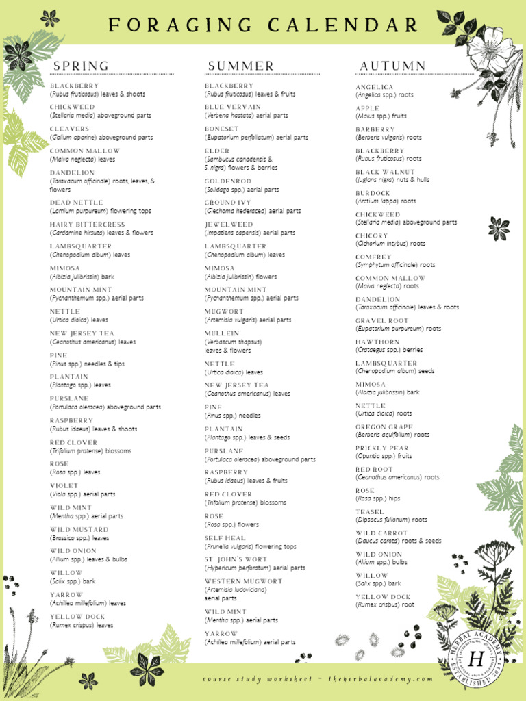 FC Foraging Calendar Worksheet PDF Medicinal Herbs And Fungi Plants
