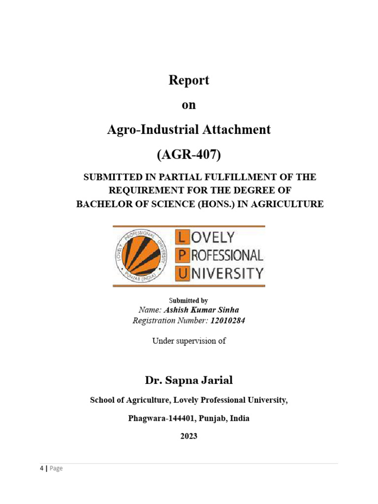 Agro-Industrial Attachment Report | PDF | Rice | Internal Rate Of Return
