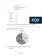 Cell Division Revison Questions