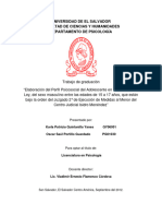 Elaboración de un perfil psicosocial de los Adolescentes en Conflicto con la Ley