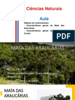 Mata Dos Cocais e Mata Das Araucárias