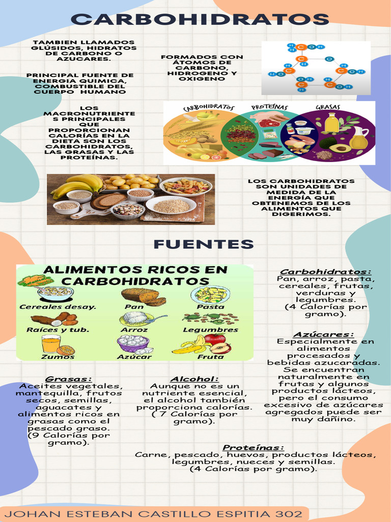 Infografía Carbohidratos Pdf Carbohidratos Polisacárido