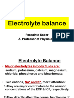 Electrolyte Balance 2023