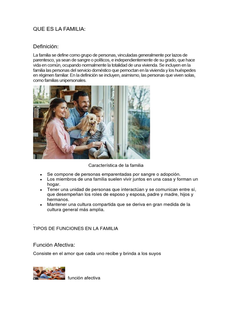 Conceptos y Funciones de la Familia | PDF | Familia | Familia adoptiva