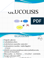 Glucolisis III