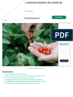 Planter La Tomate Cerise en Pot Ou en Jardinière