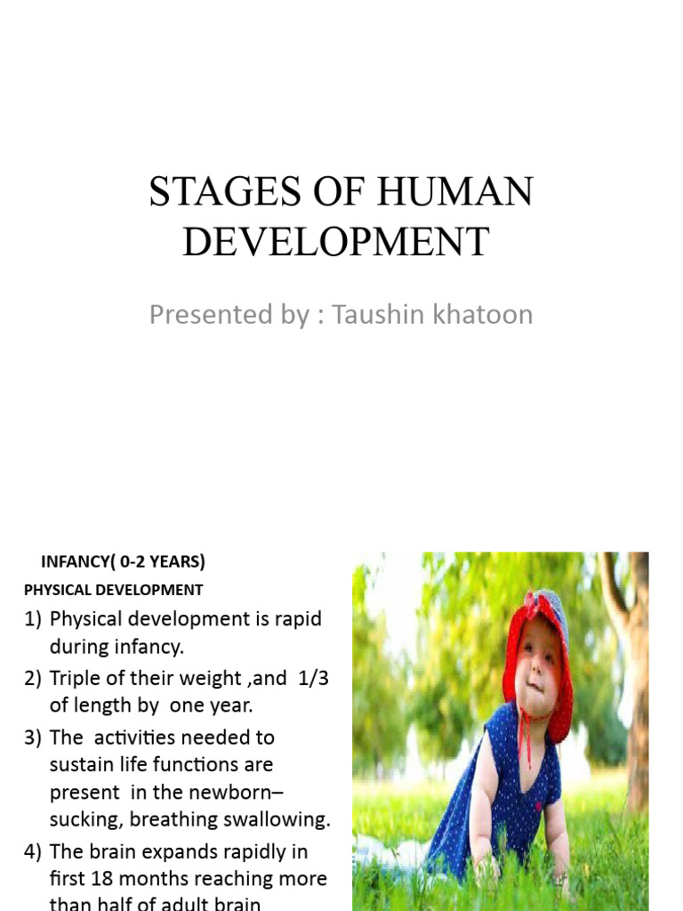 Stages Of Human Development Pdf Infants Attachment Theory