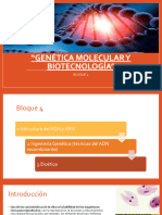 BLOQUE 4-Genética Molecular y Biotecnología