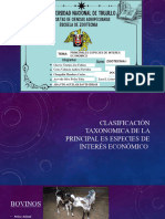 Diapositivas de Taxonomía