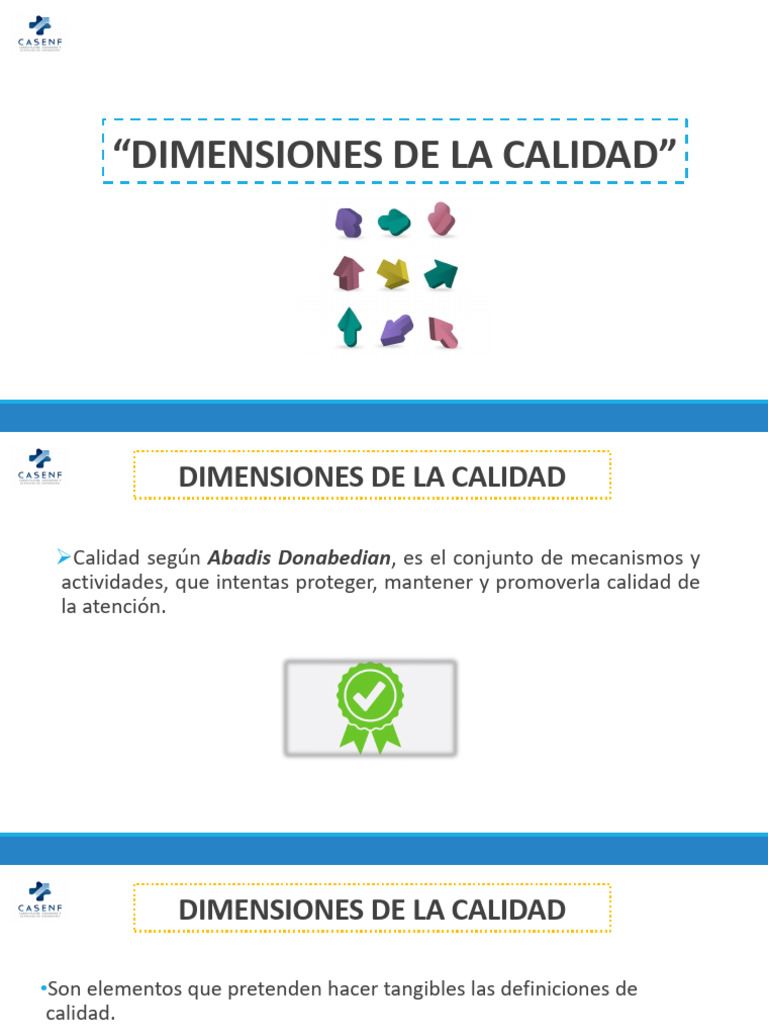Dimensiones Clave de la Calidad en Salud | PDF | Cliente | Accesibilidad