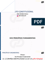 252370_20240130220145-MATERIAL_DE_APOIO_BLOCO_01_e_02_PRINCIPIOS_FUNDAMENTAIS (1)