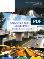 IPP Servicii publice 2011