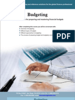 Budgeting: A Practical Guide For Preparing and Mastering Financial Budgets