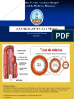 S2 - Grandes Arterias y Venas - HISTOLOGIA