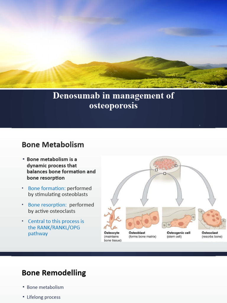 Latest Updates in Osteoporosis Treatment | PDF | Bone | Osteoblast