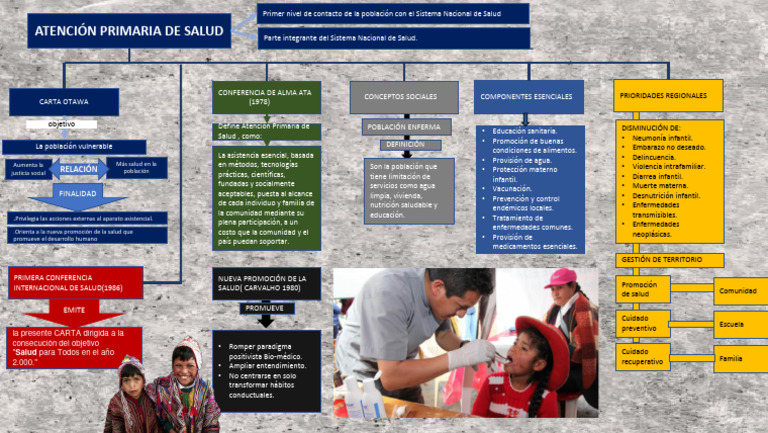 ATENCIÓN PRIMARIA DE SALUD. PDF | PDF | Medicina | Cuidado de la salud