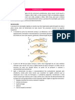 Embriologia - Resumo Loma