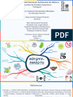 Mapa Mental Huesped-Parasito Equipo 1