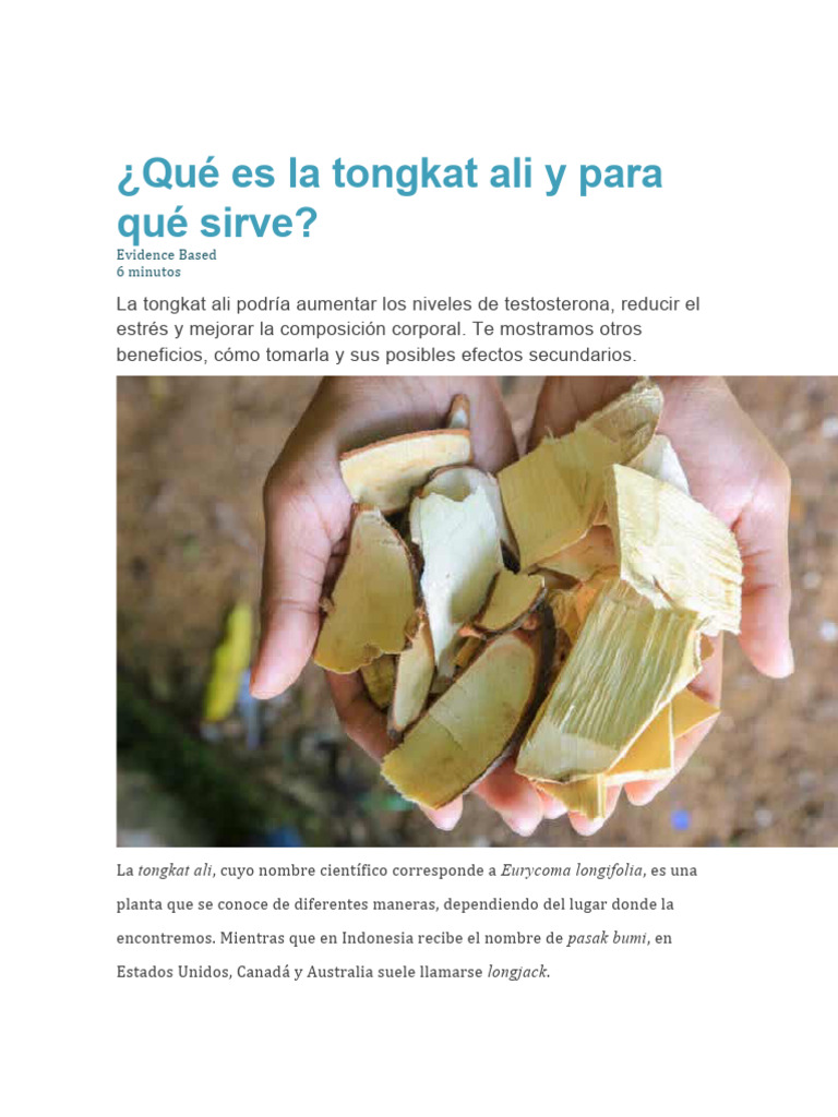 Qué Es La Tongkat Ali y para Qué Sirve Descargar gratis PDF