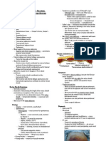 Abdominal Wall