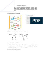 Taller DNA y Genomas