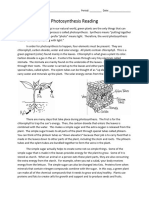 Photosynthesis Reading