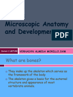 Topic 5. Bone Microscopic Anatomy and Devt 1