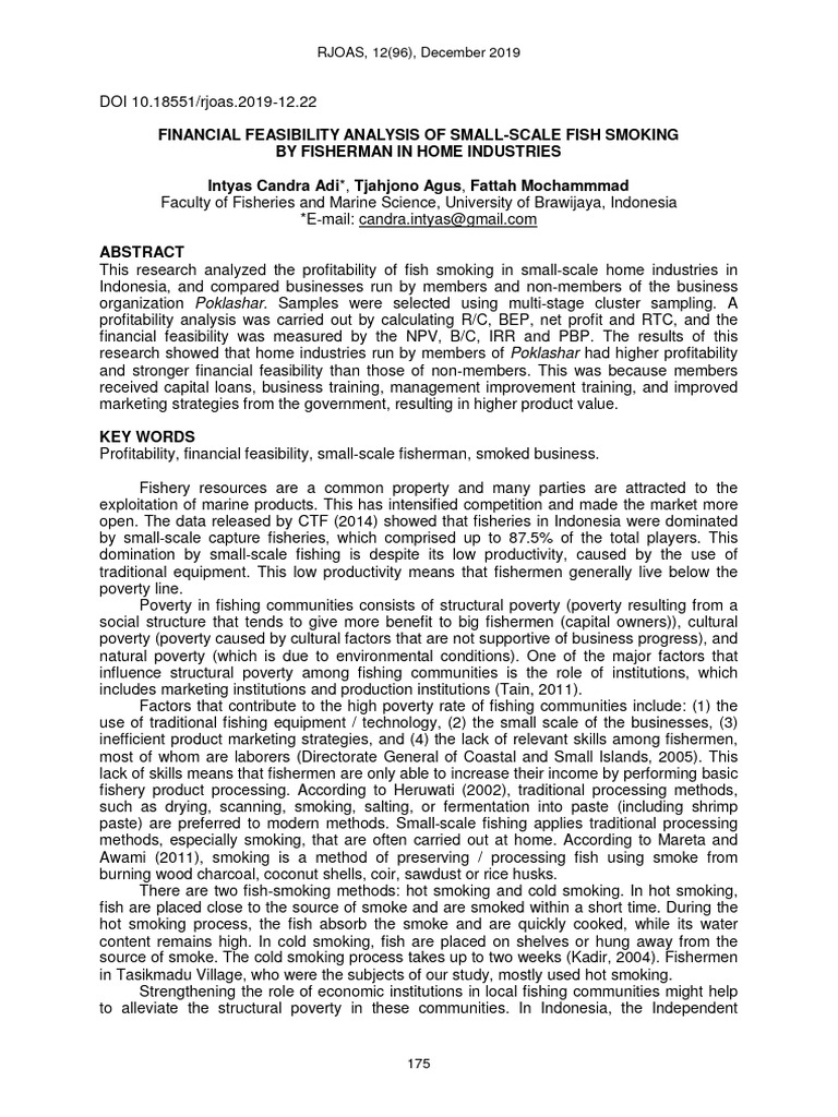 Article 22 Financial Feasibility Pdf Net Present Value Business