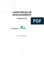 Management Assignment Report
