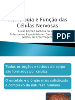 Introdução A Neurociências