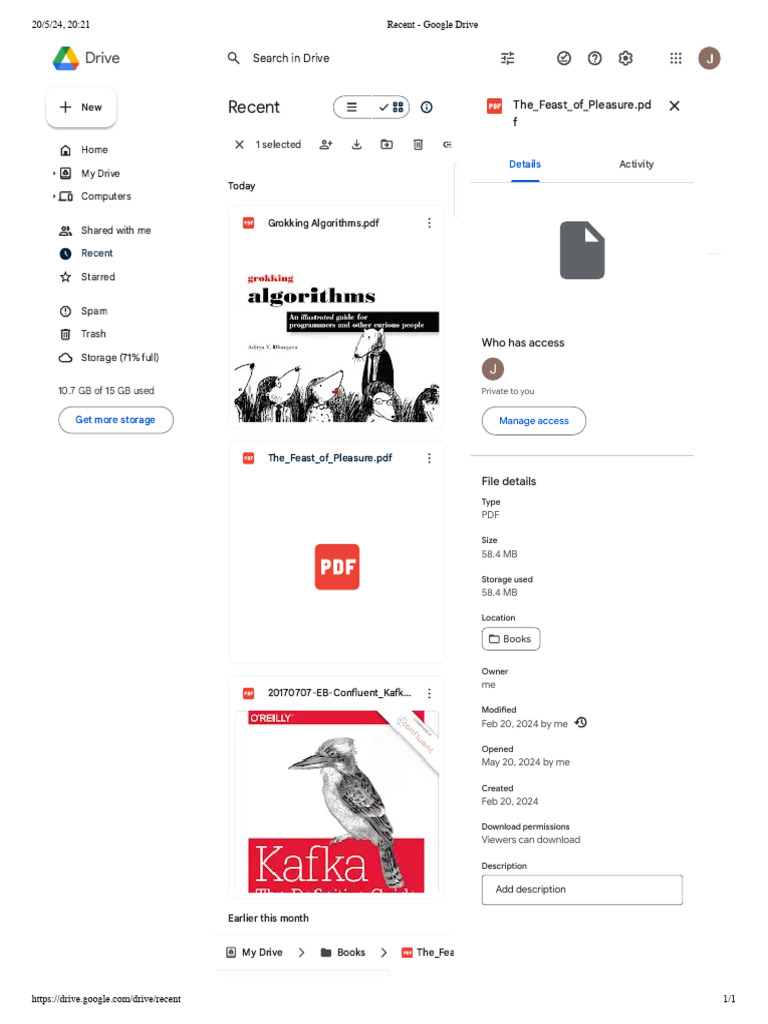 Recent - Google Drive | PDF | Computer Data | Software