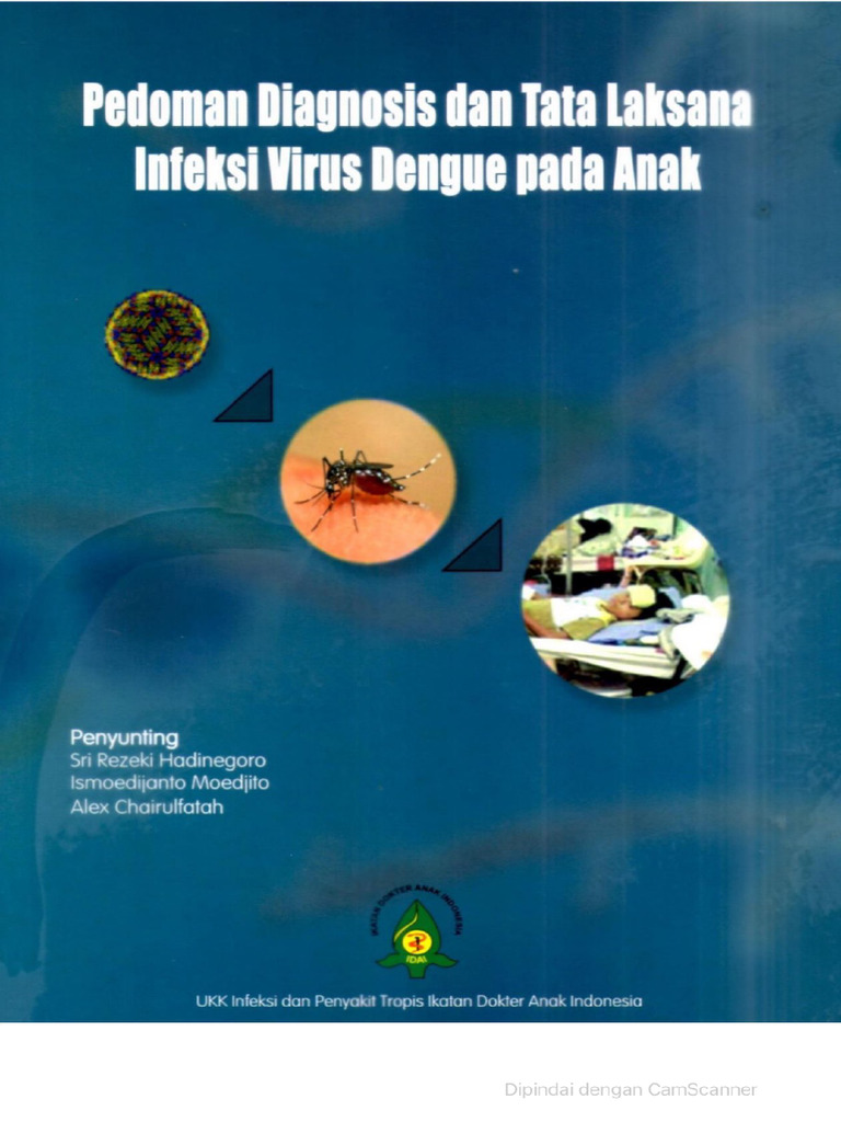 Dengue Pdf
