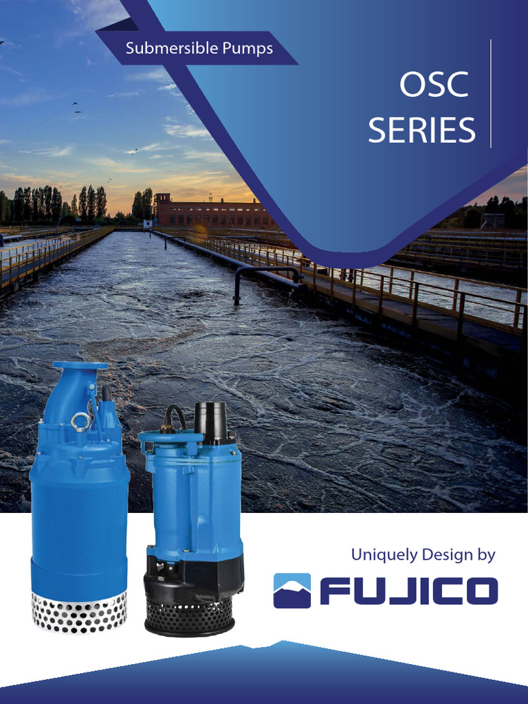 OSC Win the SCSC World Series: A Milestone Victory for the Ages