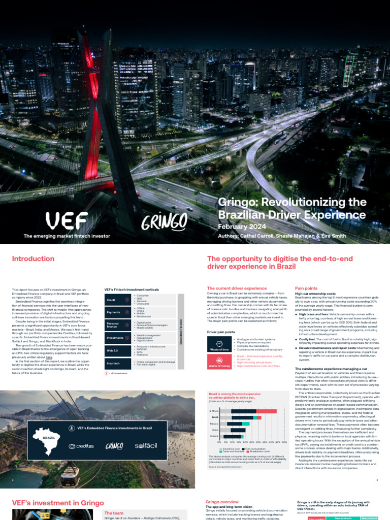 Vef Gringo Report Final | PDF | Taxes | Insurance