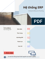 Hệ Thống Erp