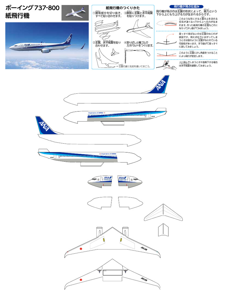 Airplane b737 800 | PDF
