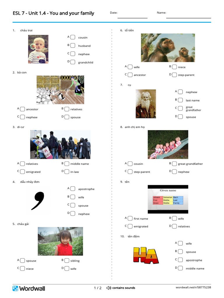 Esl 7 Unit 14 You and Your Family Quiz PDF Family Living Arrangements