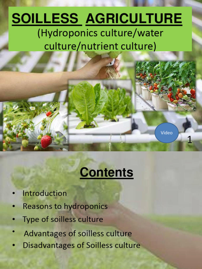 Hydroponics: Soilless Agriculture Guide | PDF | Hydroponics | Horticulture